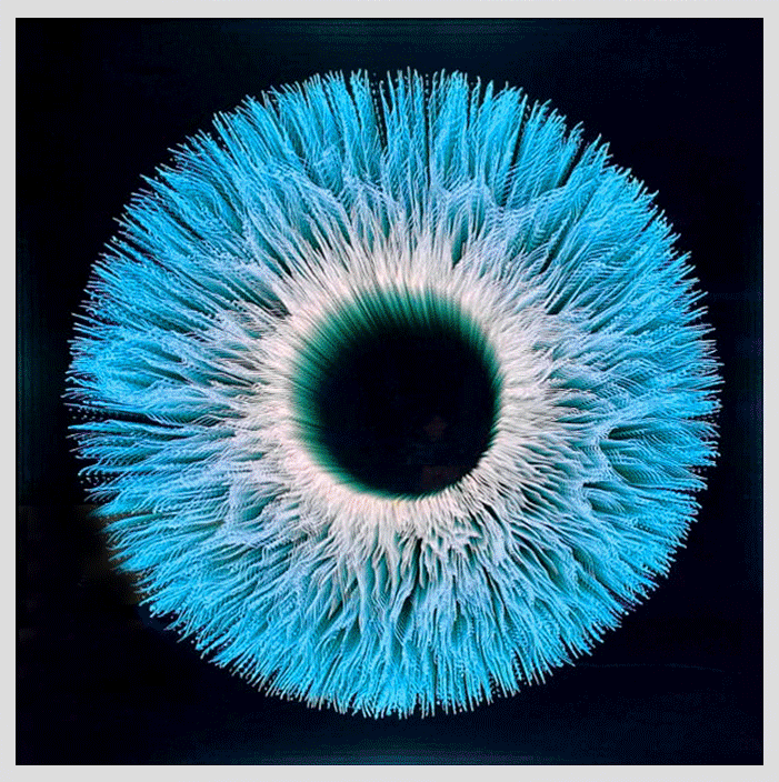 Iris 7 Lightworx Gallery in Queenstown